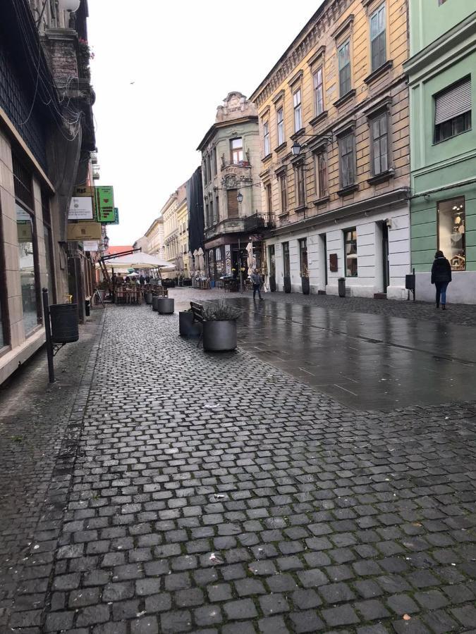 Jolie Place Old Town Apartment Timisoara Exterior photo